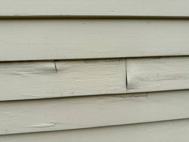 Best Steel Siding Installation  in Metzger, OR